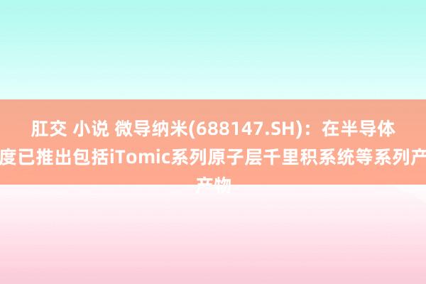 肛交 小说 微导纳米(688147.SH)：在半导体限度已推出包括iTomic系列原子层千里积系统等系列产物