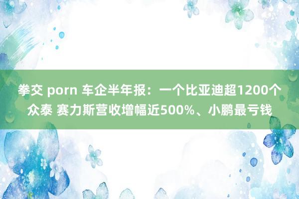 拳交 porn 车企半年报：一个比亚迪超1200个众泰 赛力斯营收增幅近500%、小鹏最亏钱