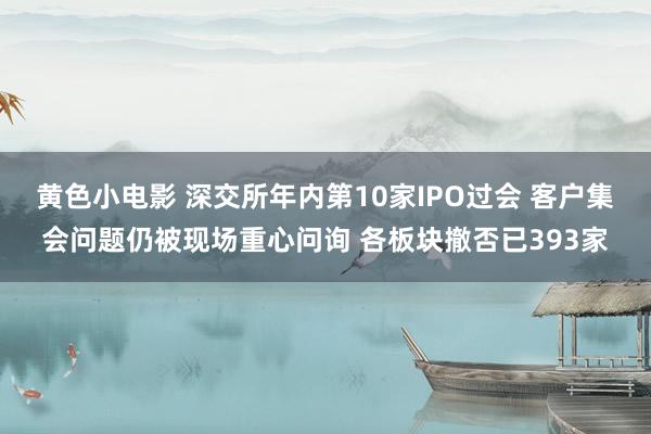 黄色小电影 深交所年内第10家IPO过会 客户集会问题仍被现场重心问询 各板块撤否已393家