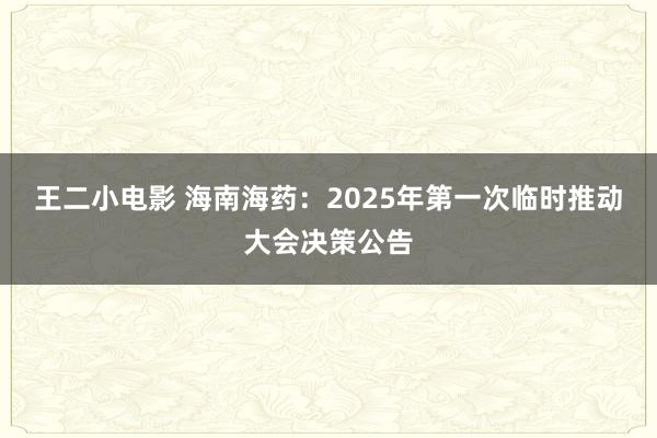 王二小电影 海南海药：2025年第一次临时推动大会决策公告