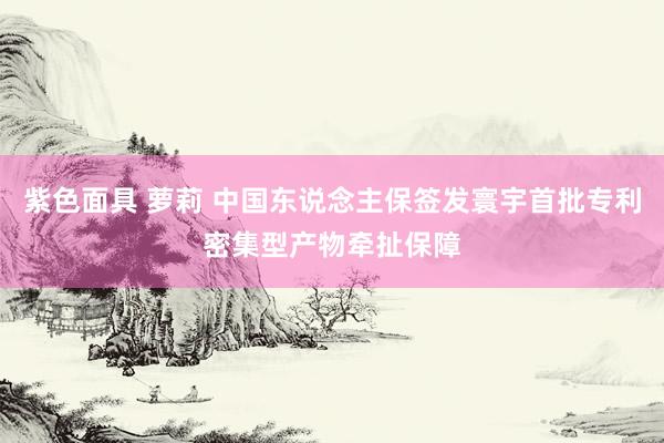 紫色面具 萝莉 中国东说念主保签发寰宇首批专利密集型产物牵扯保障
