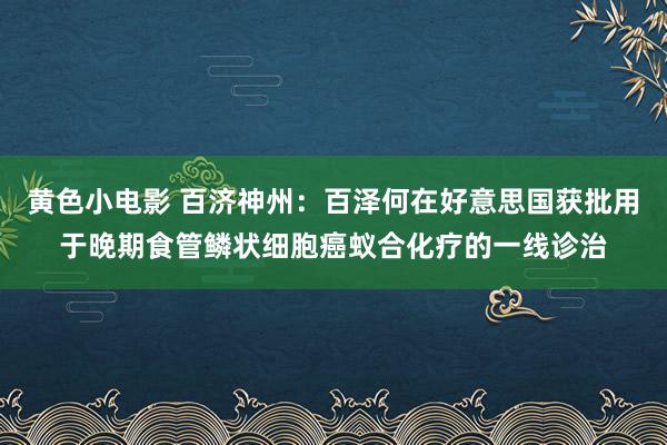 黄色小电影 百济神州：百泽何在好意思国获批用于晚期食管鳞状细胞癌蚁合化疗的一线诊治