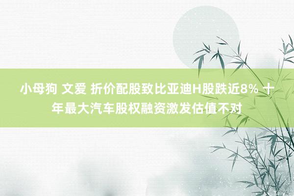 小母狗 文爱 折价配股致比亚迪H股跌近8% 十年最大汽车股权融资激发估值不对
