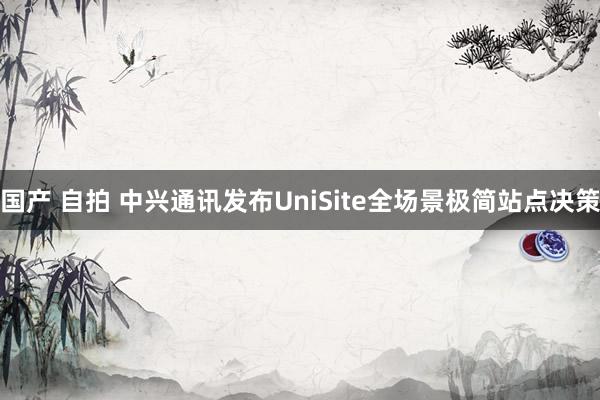 国产 自拍 中兴通讯发布UniSite全场景极简站点决策