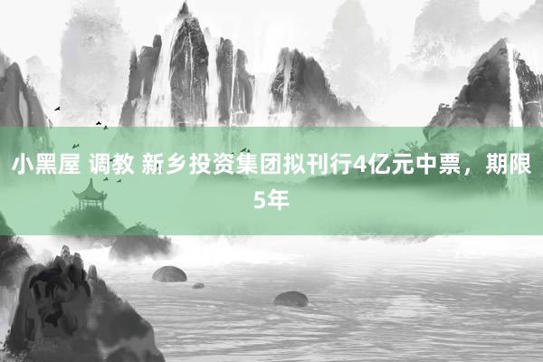 小黑屋 调教 新乡投资集团拟刊行4亿元中票，期限5年