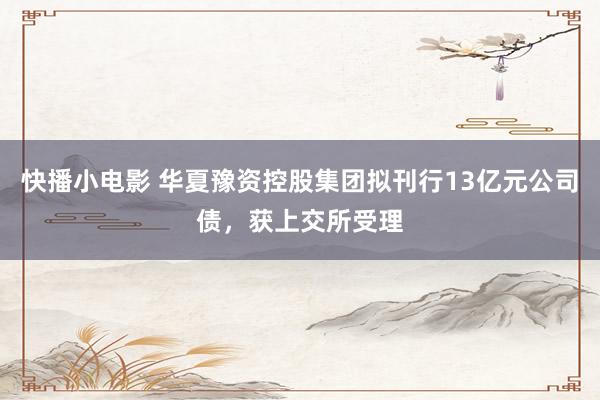 快播小电影 华夏豫资控股集团拟刊行13亿元公司债，获上交所受理